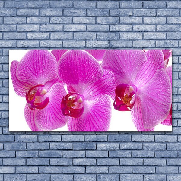 Tablou pe sticla Flori roz Floral