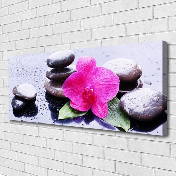 Tablou pe panza canvas Pietrele de flori Art Rosu Negru