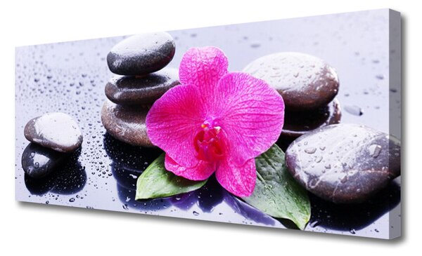Tablou pe panza canvas Pietrele de flori Art Rosu Negru