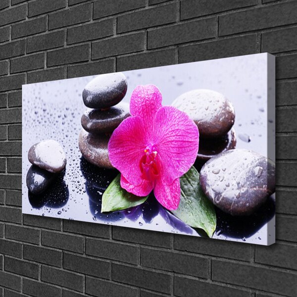 Tablou pe panza canvas Pietrele de flori Art Rosu Negru