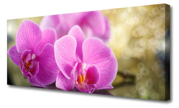 Tablou pe panza canvas Flori roz Floral