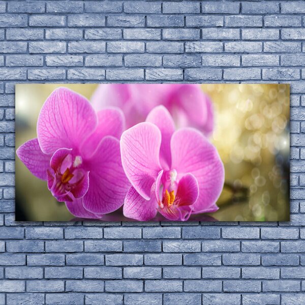 Tablou pe panza canvas Flori roz Floral