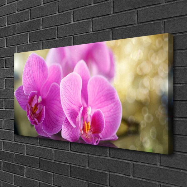 Tablou pe panza canvas Flori roz Floral
