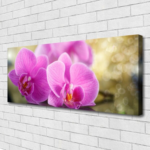 Tablou pe panza canvas Flori roz Floral