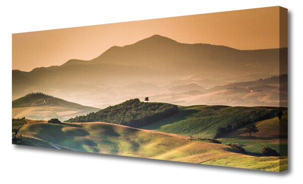 Tablou pe panza canvas Munții Peisaj Galben Verde