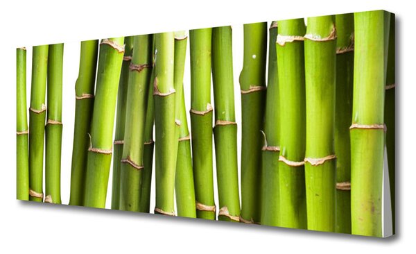 Tablou pe panza canvas Bamboo Canes Floral Verde
