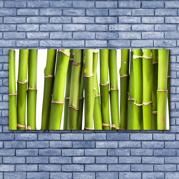 Tablou pe sticla Bamboo Canes Floral Verde
