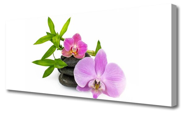 Tablou pe panza canvas Pietrele florale flori roz negru