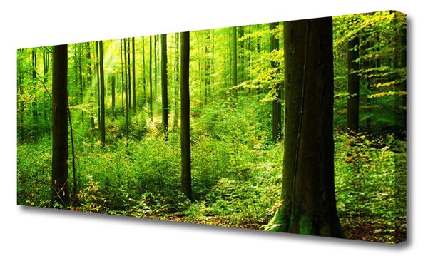 Tablou pe panza canvas Natural Pădurea Verde Maro