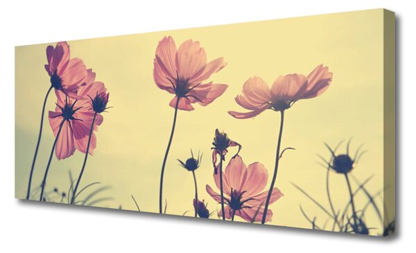 Tablou pe panza canvas Flori roz Floral