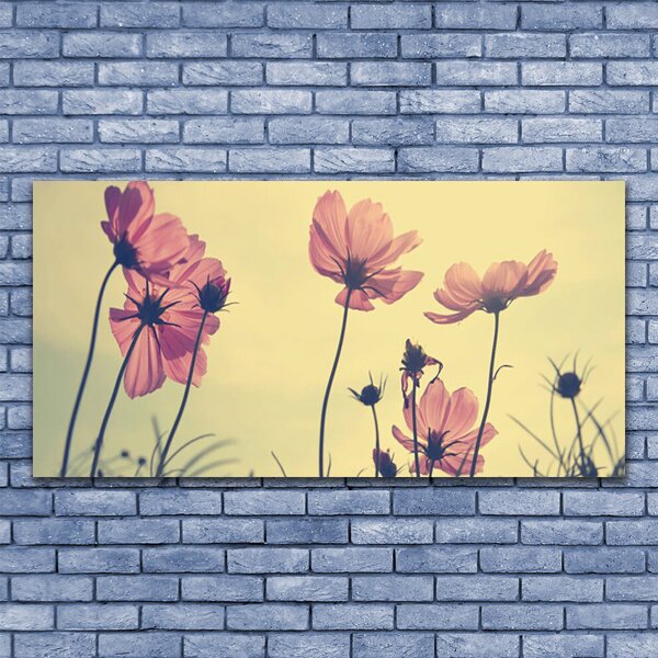 Tablou pe sticla Flori roz Floral