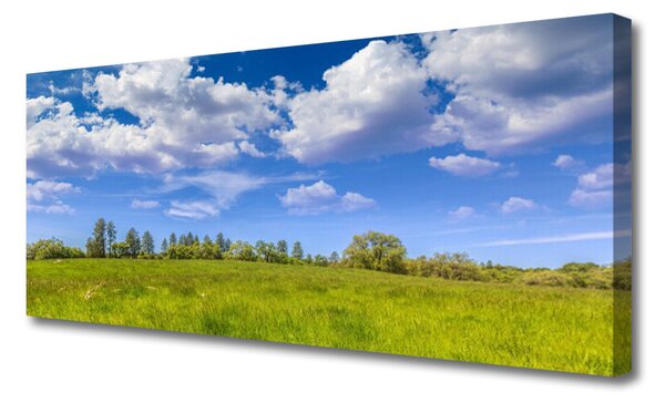 Tablou pe panza canvas Meadow Grass Peisaj verde