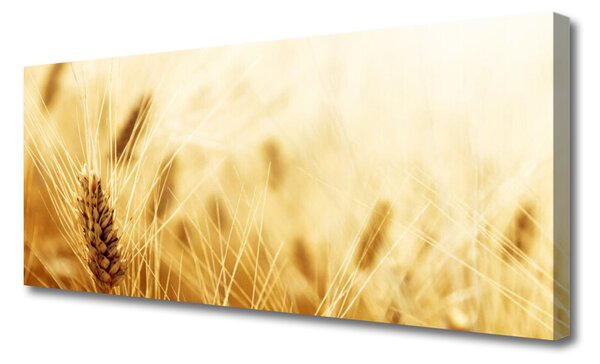Tablou pe panza canvas Grâu floral galben