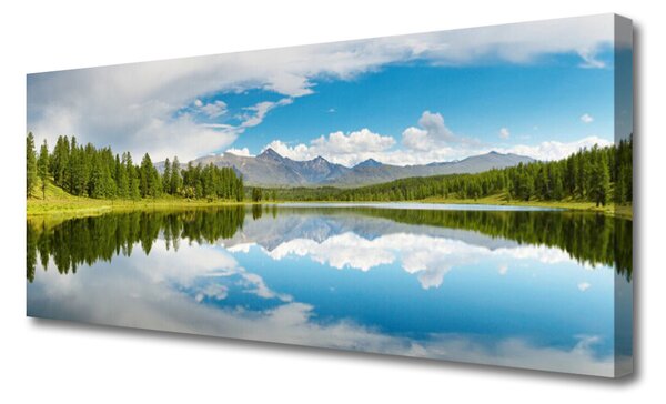Tablou pe panza canvas Forest Lake Peisaj Verde Albastru