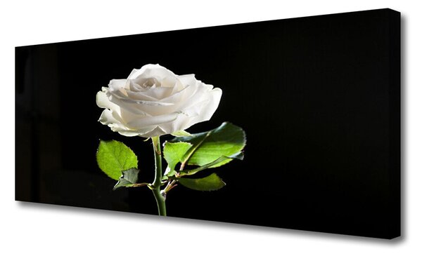 Tablou pe panza canvas Rose Floral alb