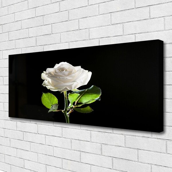 Tablou pe panza canvas Rose Floral alb