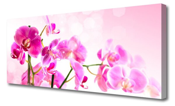 Tablou pe panza canvas Flori roz Floral
