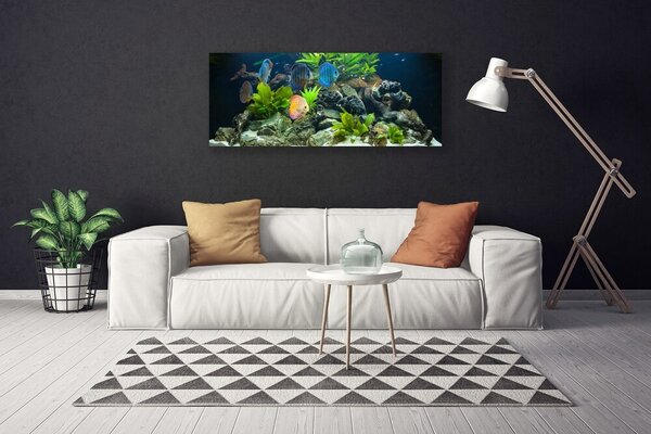 Tablou pe panza canvas Pește pietre Frunze Natura Albastru Galben Gri Verde