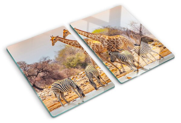 Tocător din sticlă Zebră și girafă în habitatul lor natural