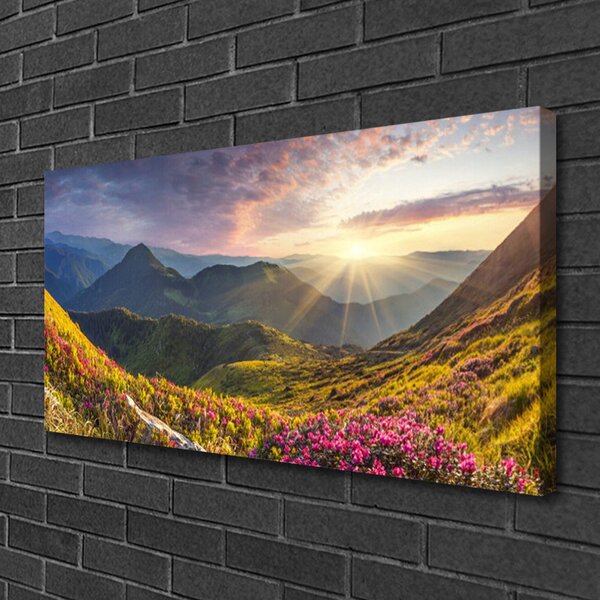 Tablou pe panza canvas Mountain Meadow Sun Peisaj Gri Albastru Galben Verde Roșu