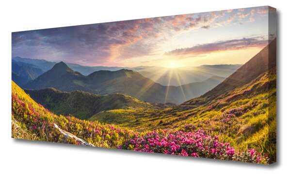 Tablou pe panza canvas Mountain Meadow Sun Peisaj Gri Albastru Galben Verde Roșu