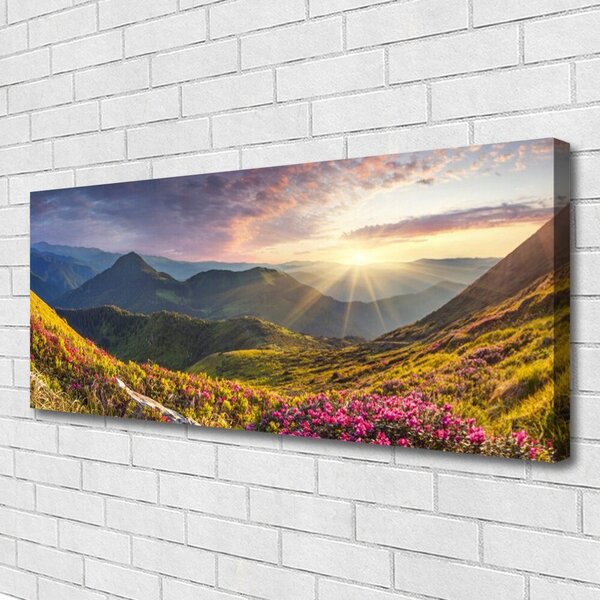 Tablou pe panza canvas Mountain Meadow Sun Peisaj Gri Albastru Galben Verde Roșu