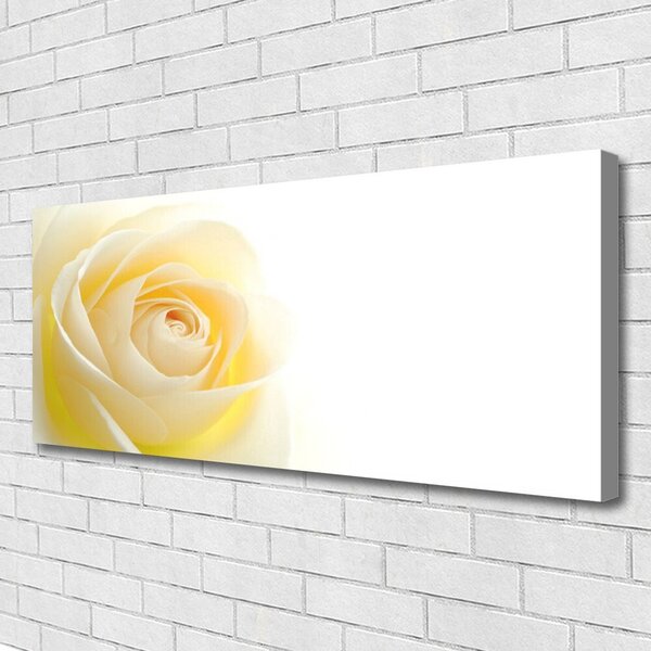 Tablou pe panza canvas Rose Floral Alb Galben