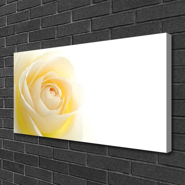 Tablou pe panza canvas Rose Floral Alb Galben