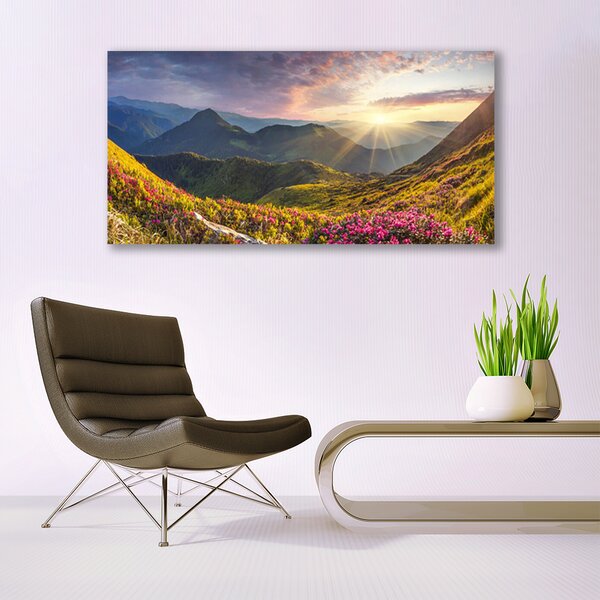 Tablou pe panza canvas Mountain Meadow Sun Peisaj Gri Albastru Galben Verde Roșu