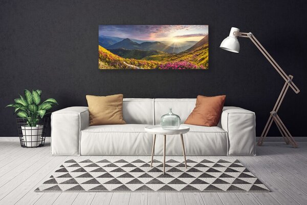 Tablou pe panza canvas Mountain Meadow Sun Peisaj Gri Albastru Galben Verde Roșu