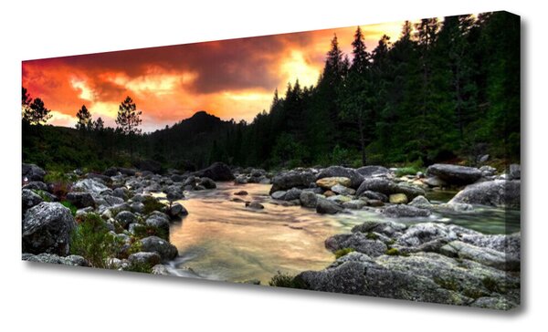 Tablou pe panza canvas Lacul Pietrele Natural Pădurea Verde Gri Galben
