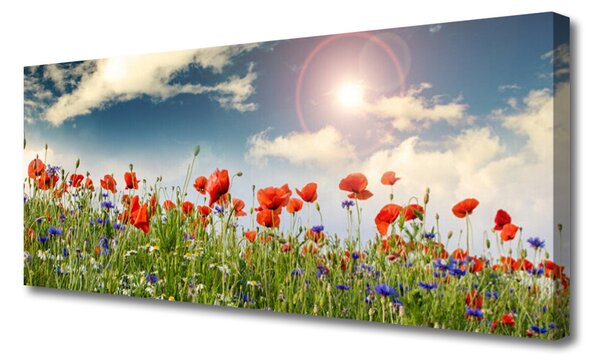 Tablou pe panza canvas Flori Meadow Natura Verde Roșu Violet Alb