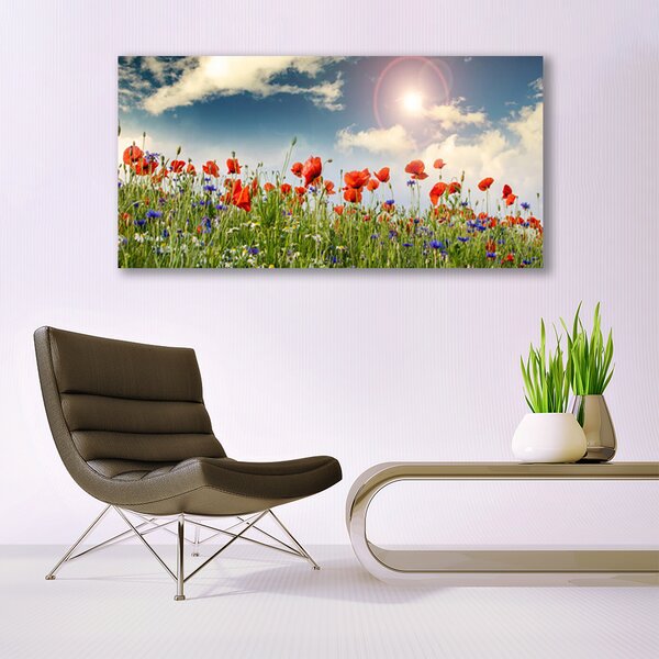 Tablou pe panza canvas Flori Meadow Natura Verde Roșu Violet Alb