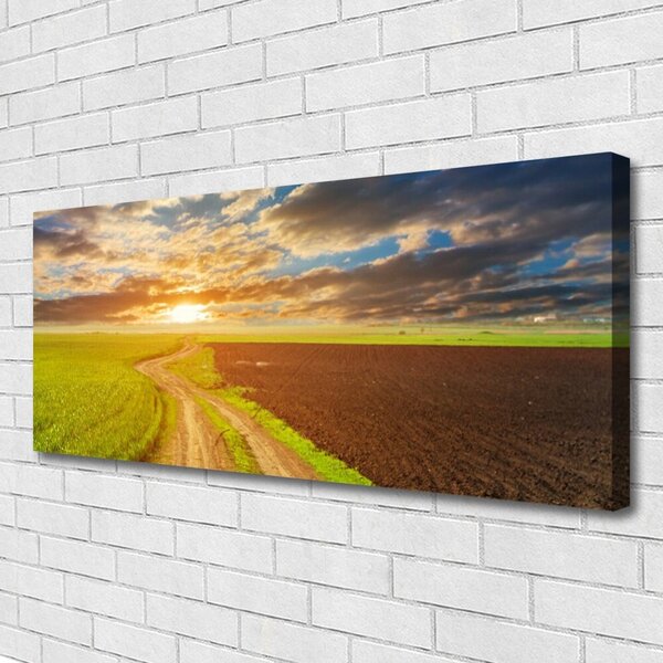 Tablou pe panza canvas Acker Potecă Peisaj Verde Maro