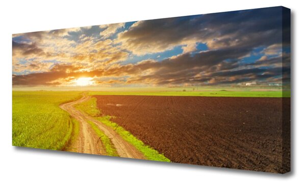 Tablou pe panza canvas Acker Potecă Peisaj Verde Maro