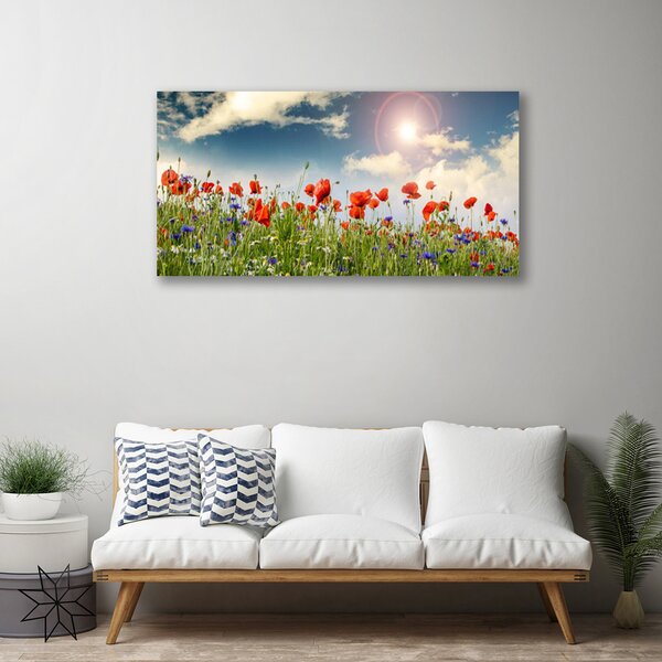 Tablou pe panza canvas Flori Meadow Natura Verde Roșu Violet Alb