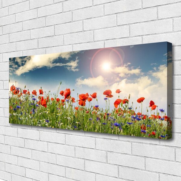 Tablou pe panza canvas Flori Meadow Natura Verde Roșu Violet Alb