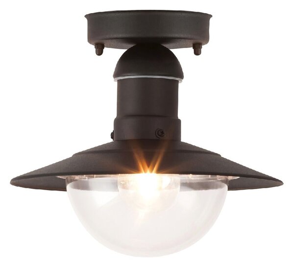 Rabalux Oslo plafoniera de exterior 1x60 W negru 8716