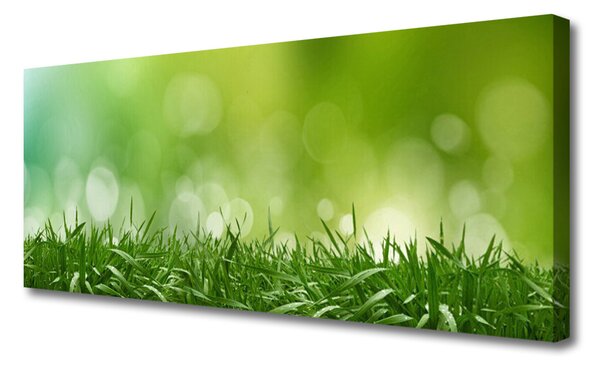 Tablou pe panza canvas Weed Natura verde
