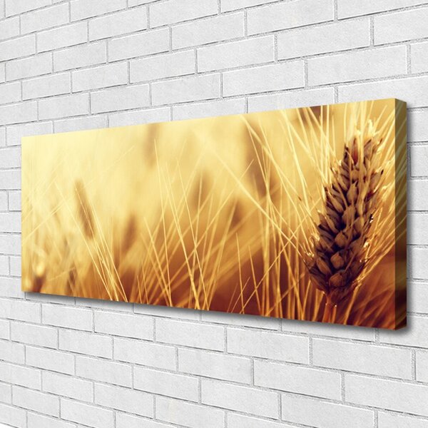 Tablou pe panza canvas Grâu Floral Brown