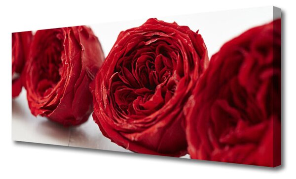 Tablou pe panza canvas Trandafiri Floral Red