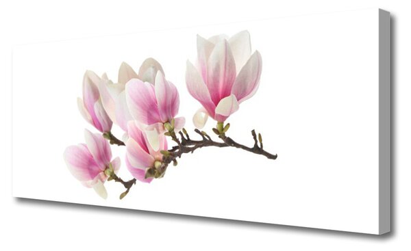 Tablou pe panza canvas Flori Floral Roz Alb