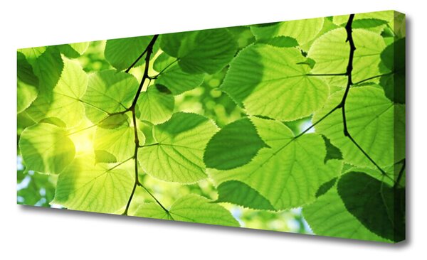 Tablou pe panza canvas Frunze Floral Verde Maro