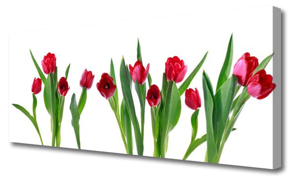 Tablou pe panza canvas Lalele Floral Red