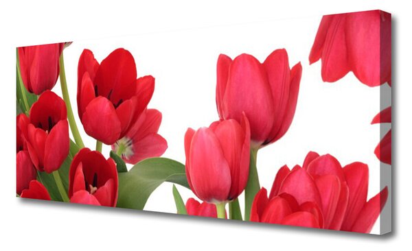 Tablou pe panza canvas Lalele Floral Red