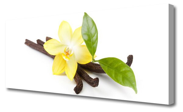 Tablou pe panza canvas Frunze de vanilie Floral Brun Galben Verde