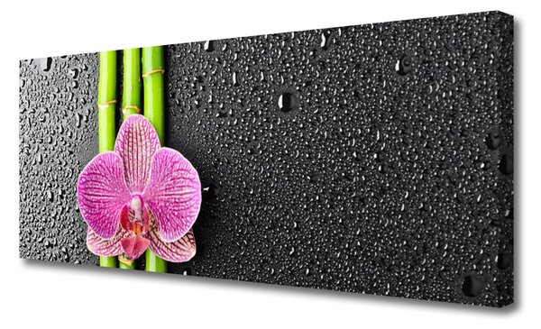 Tablou pe panza canvas Bamboo Tube floare verde florale roz