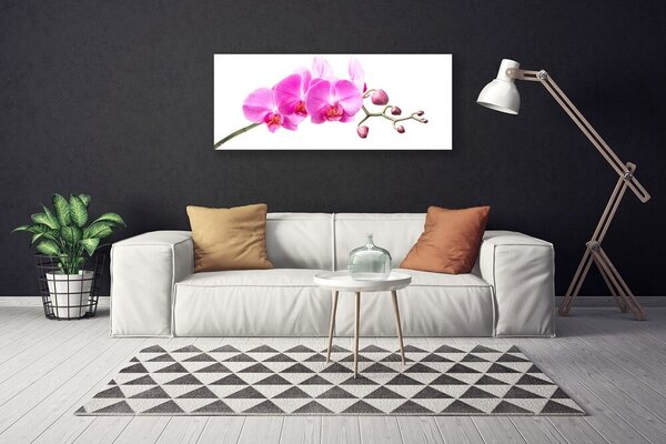 Tablou pe panza canvas Flori roz Floral