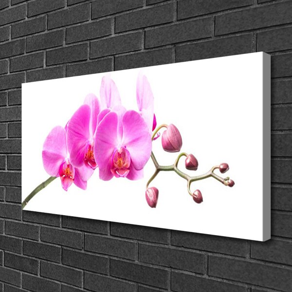 Tablou pe panza canvas Flori roz Floral