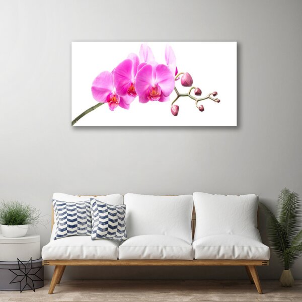 Tablou pe panza canvas Flori roz Floral